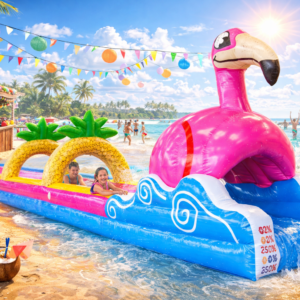 Location ventreglisse