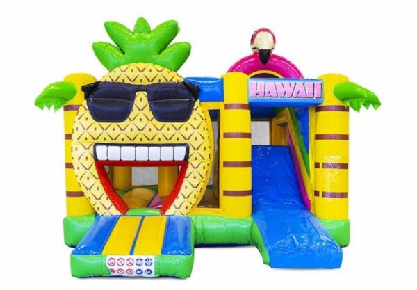 chateau gonflable hawaii